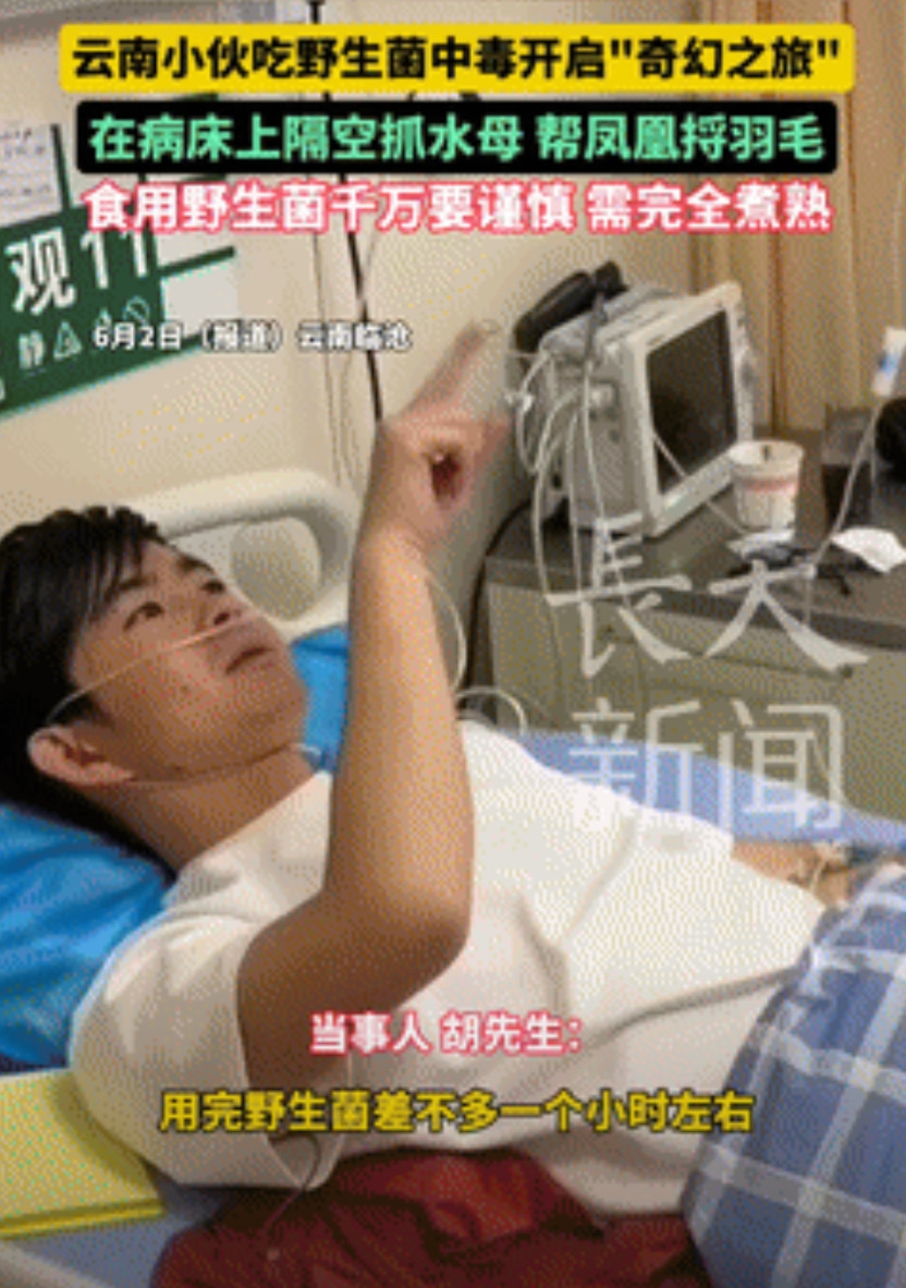 可不敢大意！云南一小伙吃野生菌，刚吃完没多久就看到家里的墙壁上，无缘无故出现很多