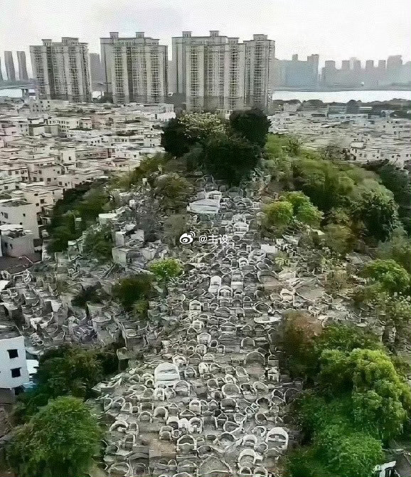 这就是多年后土葬的结果！
