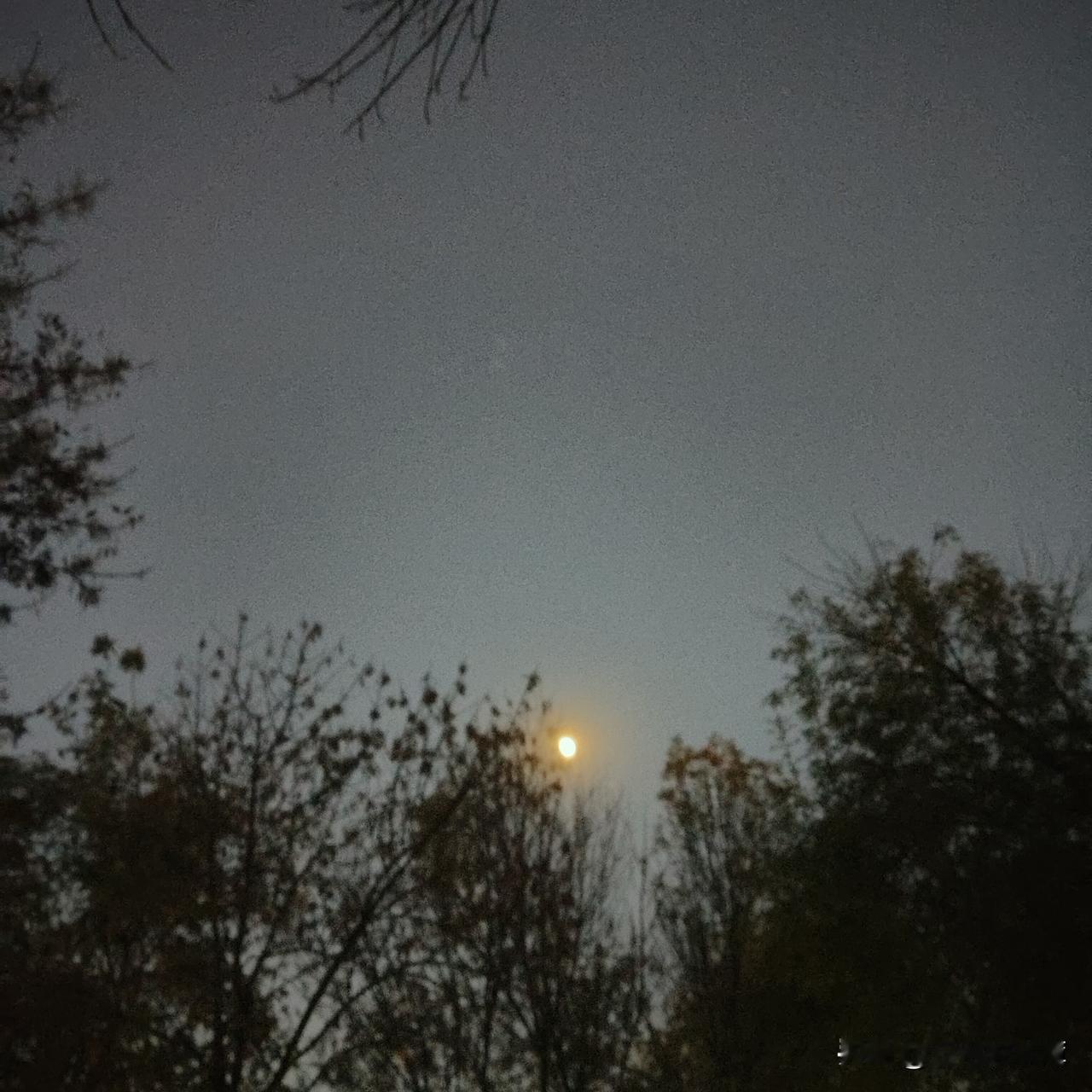 中午，老公刚进门，还没放包，就说:“你过来过来。”我正赶一篇稿子:“我正忙着