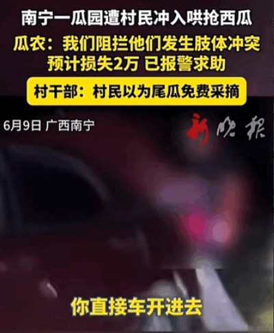 一夜回到解放前！”广西南宁，一瓜农辛苦种了280亩西瓜，刚摘完一茬，正准备收尾瓜