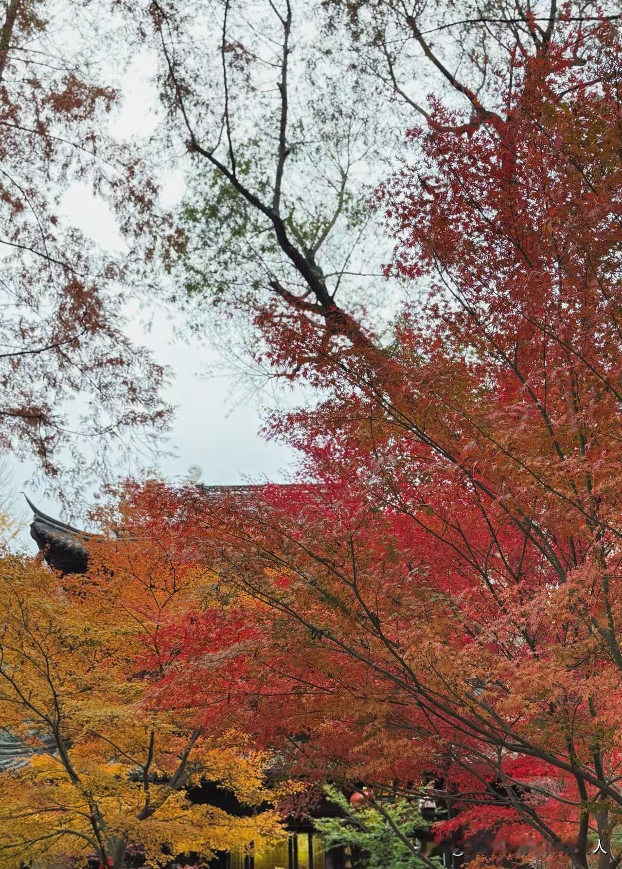 当一个婆婆，再也不会主动给儿子、儿媳妇发消息、打电话的时候，那多半是她的心已经凉