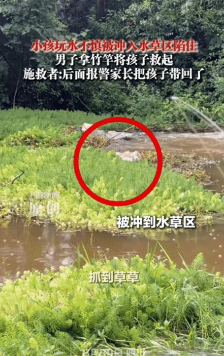 “太机智了”！四川，小孩在河边玩水，不小心被水流冲入水草区陷住，就在他崩溃绝望之