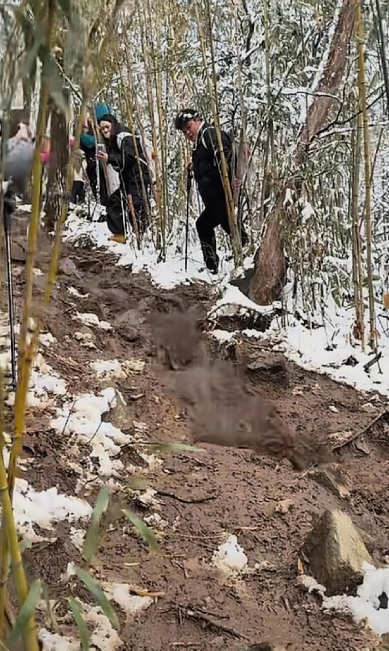 现在有敬畏之心的人，果然越来越少了浙江杭州前不久下了一场小雪，第二天就有很多人