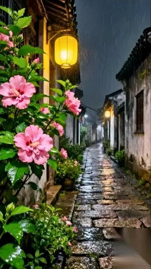 农村的新房越建越高可连个说话的人都难找你说怪不怪?现在村里晃一圈,二