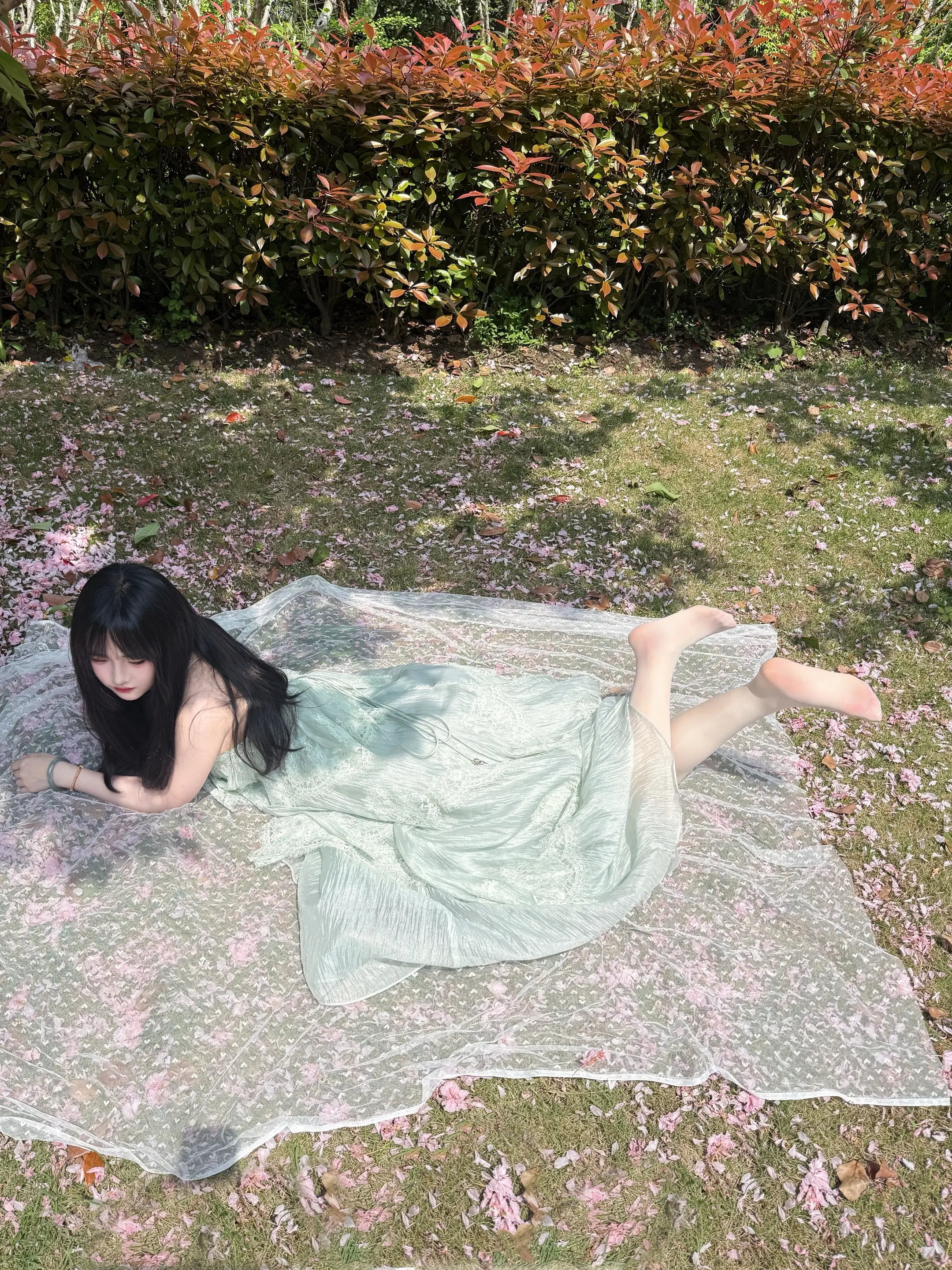 人生若只如初见
