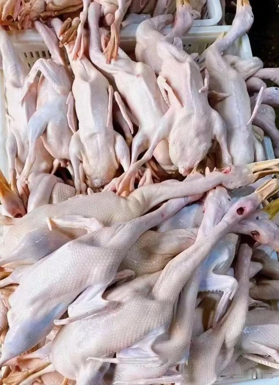 灵山县武利镇30元一只鸭子的“低价陷阱”近日在武利镇农贸市场，笔者撞见一出“