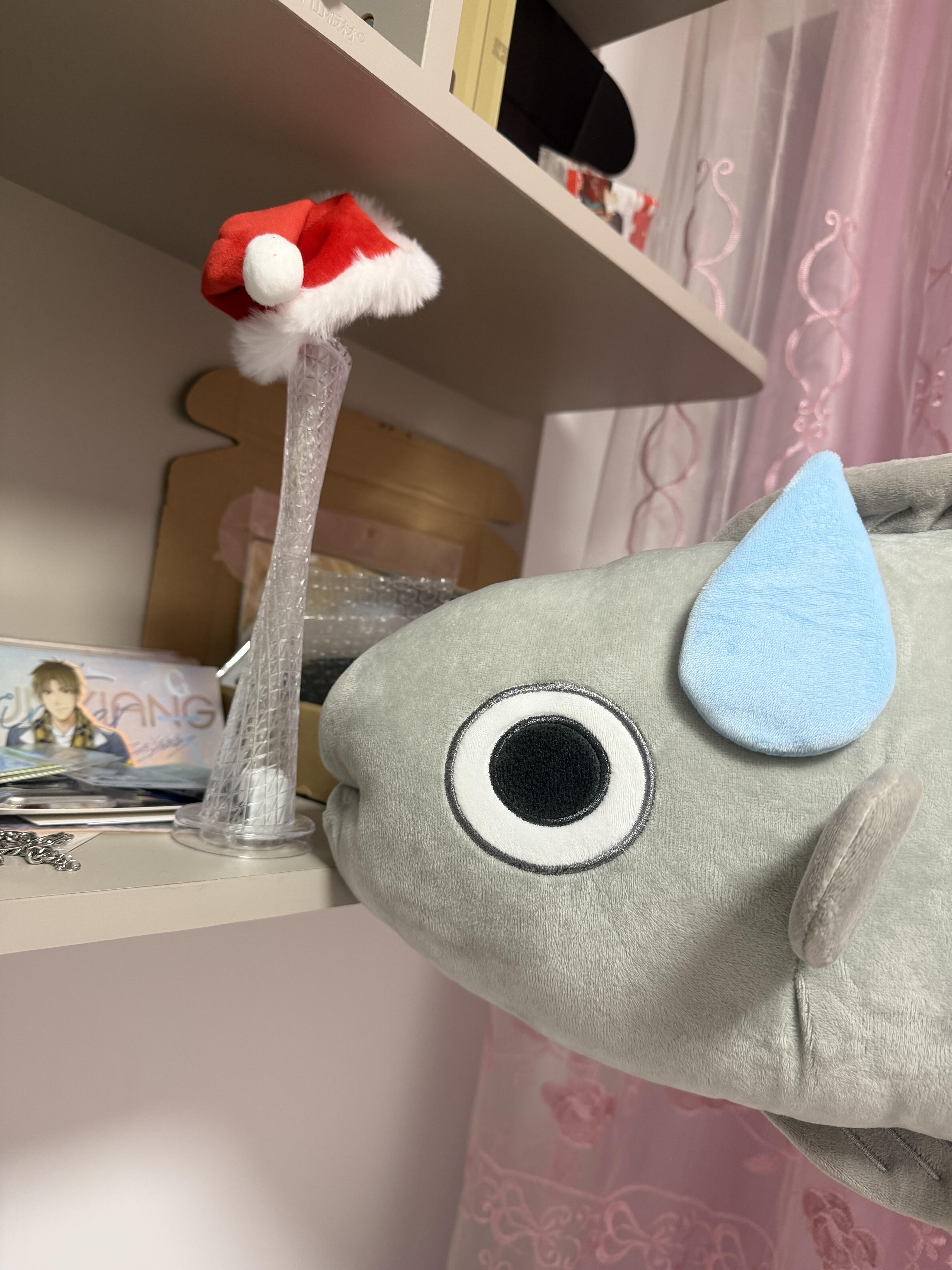 这个鱼，哈哈哈