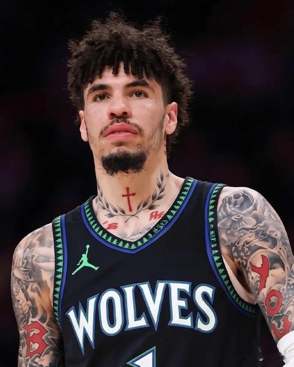 这森林狼真是NBA的大善人啊，森林里狼先是用兰德尔换了空气，现在又用纳兹里德加首