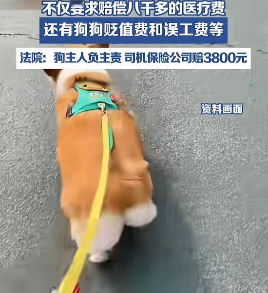 “不拴绳的后果！”8月25日报道，北京，一女子遛狗不拴绳，狗狗突然蹿出去，被一辆
