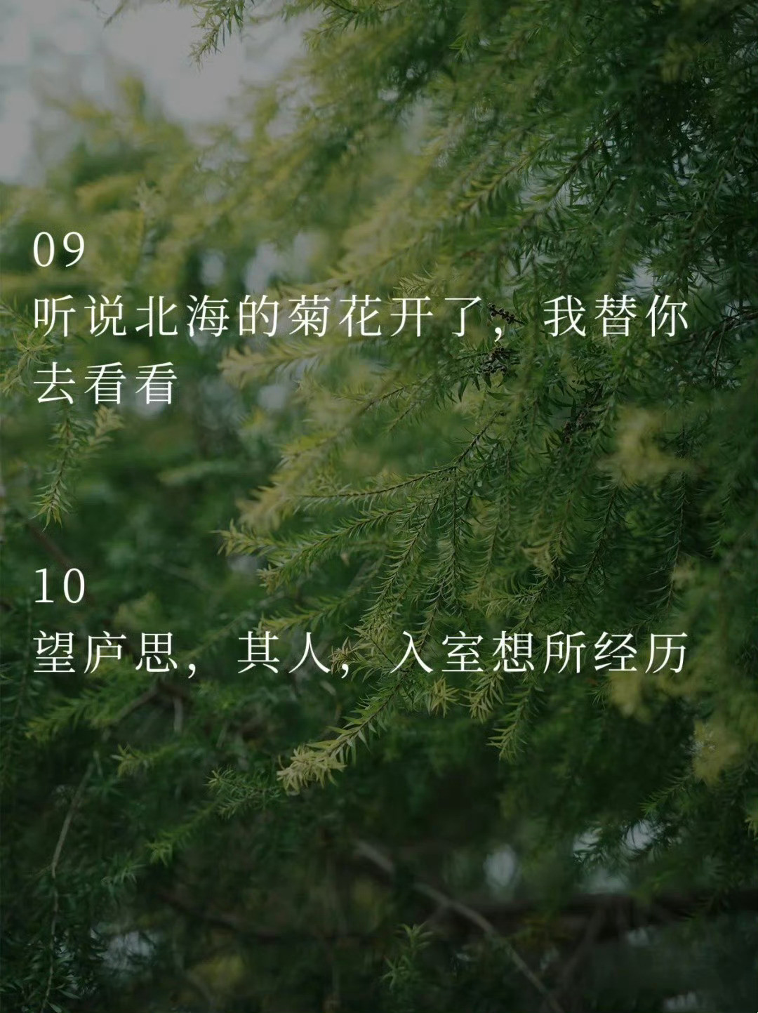 句句不提思念句句都是想念