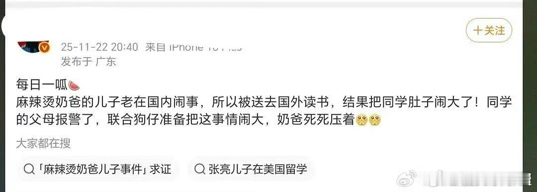 张亮儿子在国外上学的🍉