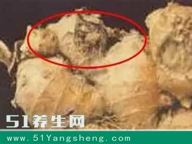 菜市场致癌性极高的6种蔬菜 小心喂大了你的癌细胞