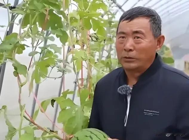一个连字都不认，没上过大学的农民姜向涛，竟然攻克了难到美国、日本众多专家研究十几