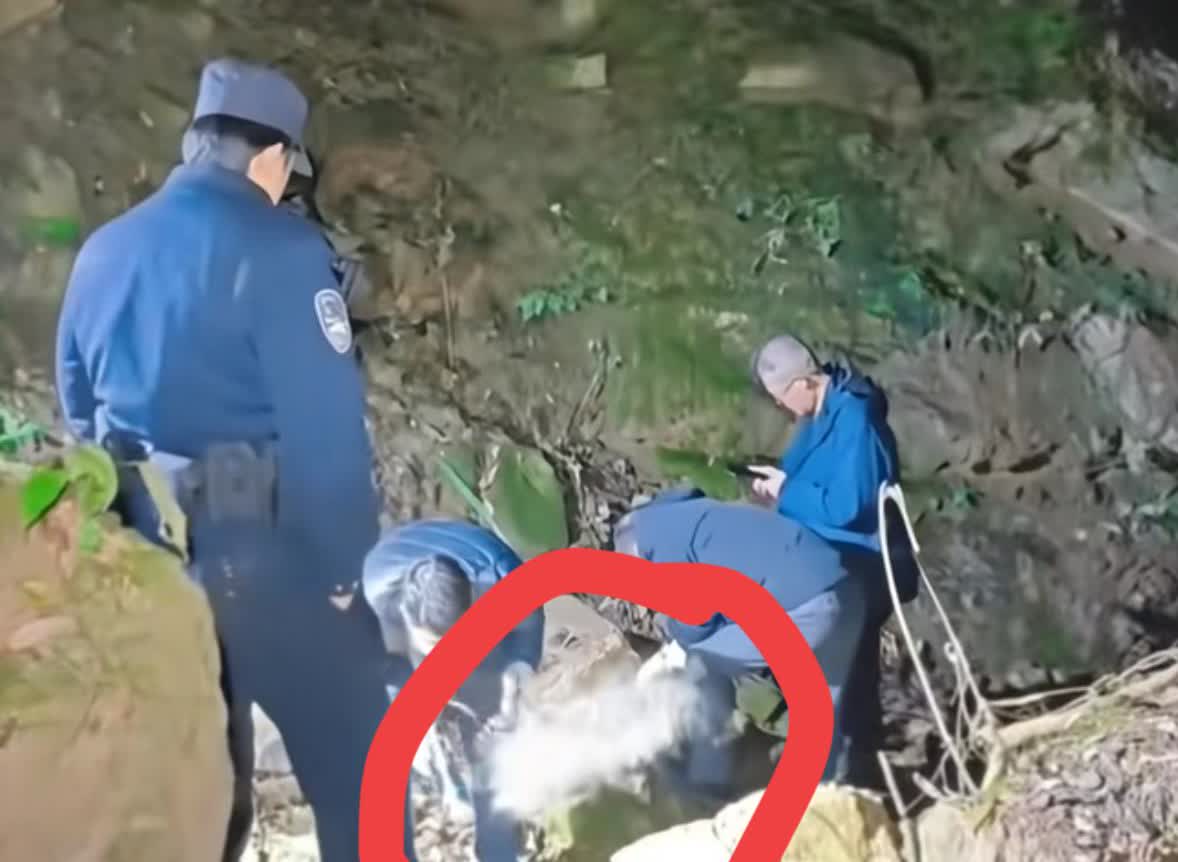 福建8岁男童走失53天已在山涧找到，能走这么远的山路不是一般体力，有没有一种可能