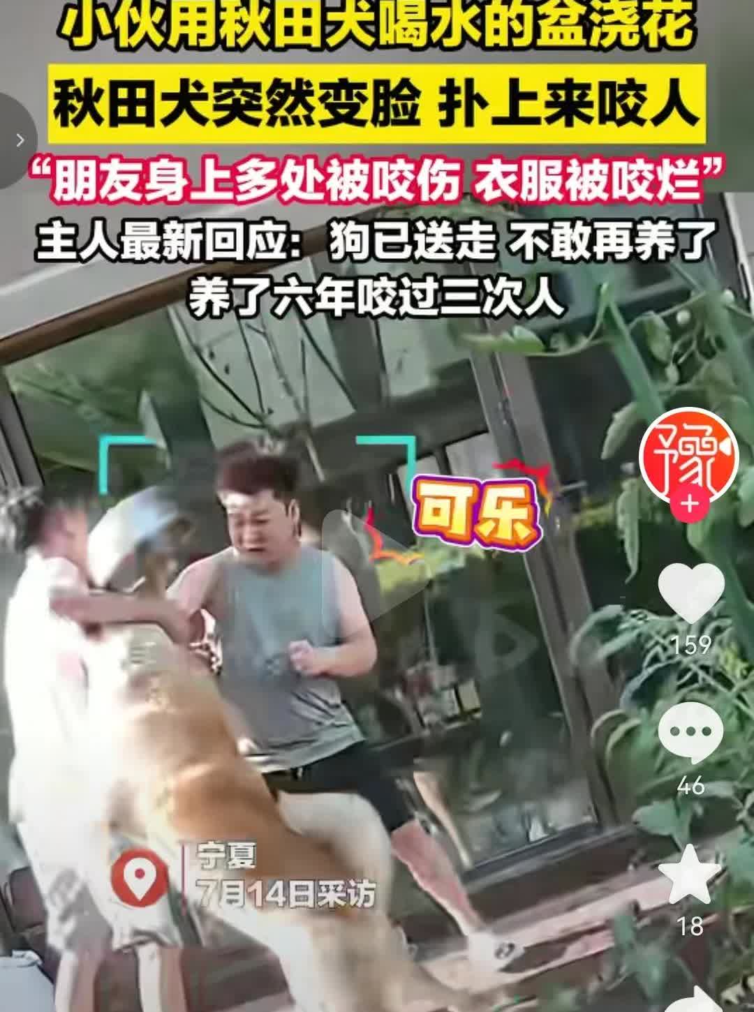 又一起狗咬人事件，唯有切肤之痛才能“痛下杀手”一男子来朋友家聚会时，用秋