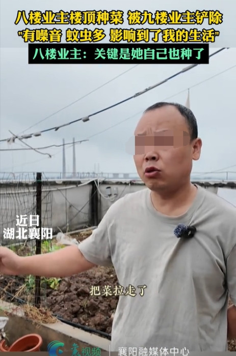 湖北襄阳，一男子家住8楼，却在楼顶公共区域弄了块地方种菜。9楼的女邻居认为男子种