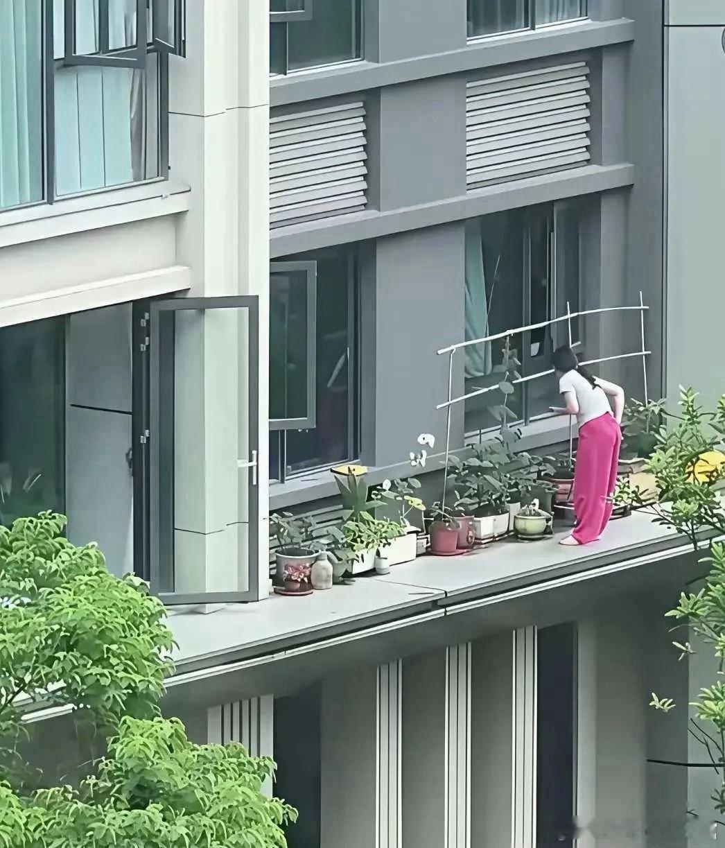 房子的价值都在她一人身上了！