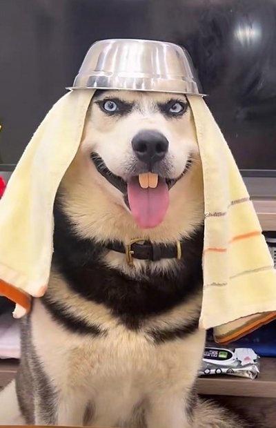 搞笑图片：​​​