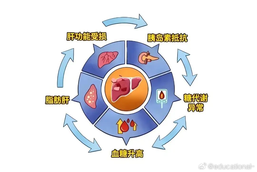 早上好，今天给大家谈个养生的绝招。我经常会谈一些养生的食物调理办法。很多人反馈非