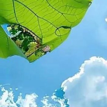 正能量正能量别总是抱怨生活不够幸运，是你欠了生活一份努力，每一个你讨厌