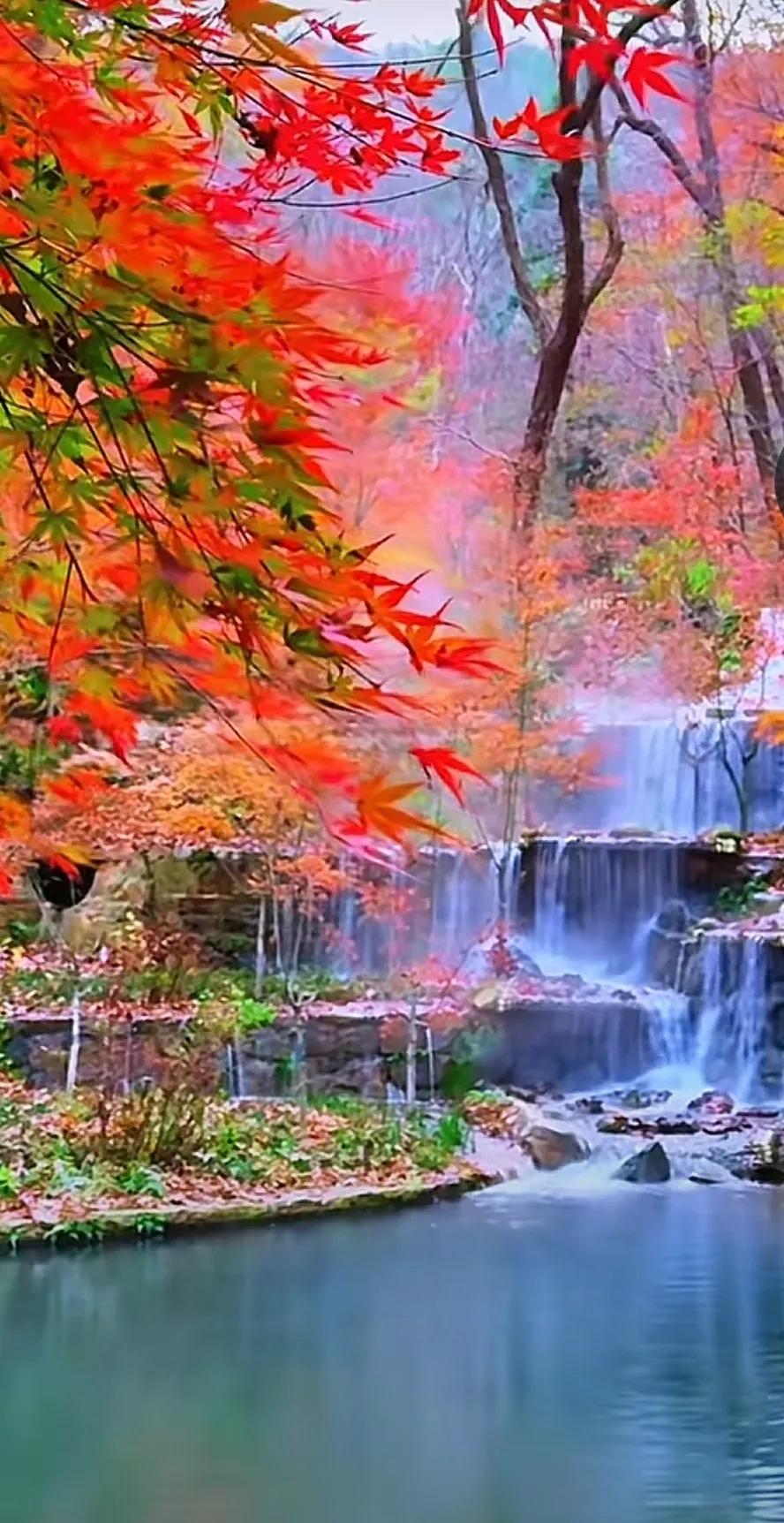 人生本就无对错之分，毕竟最初本就混沌一片。恰似这世间，原本就没有路。若走