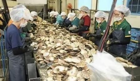 日本排放核水后，奇怪的事发生了：刚开始各国对海鲜避之不及，如今3年过去，核污染水