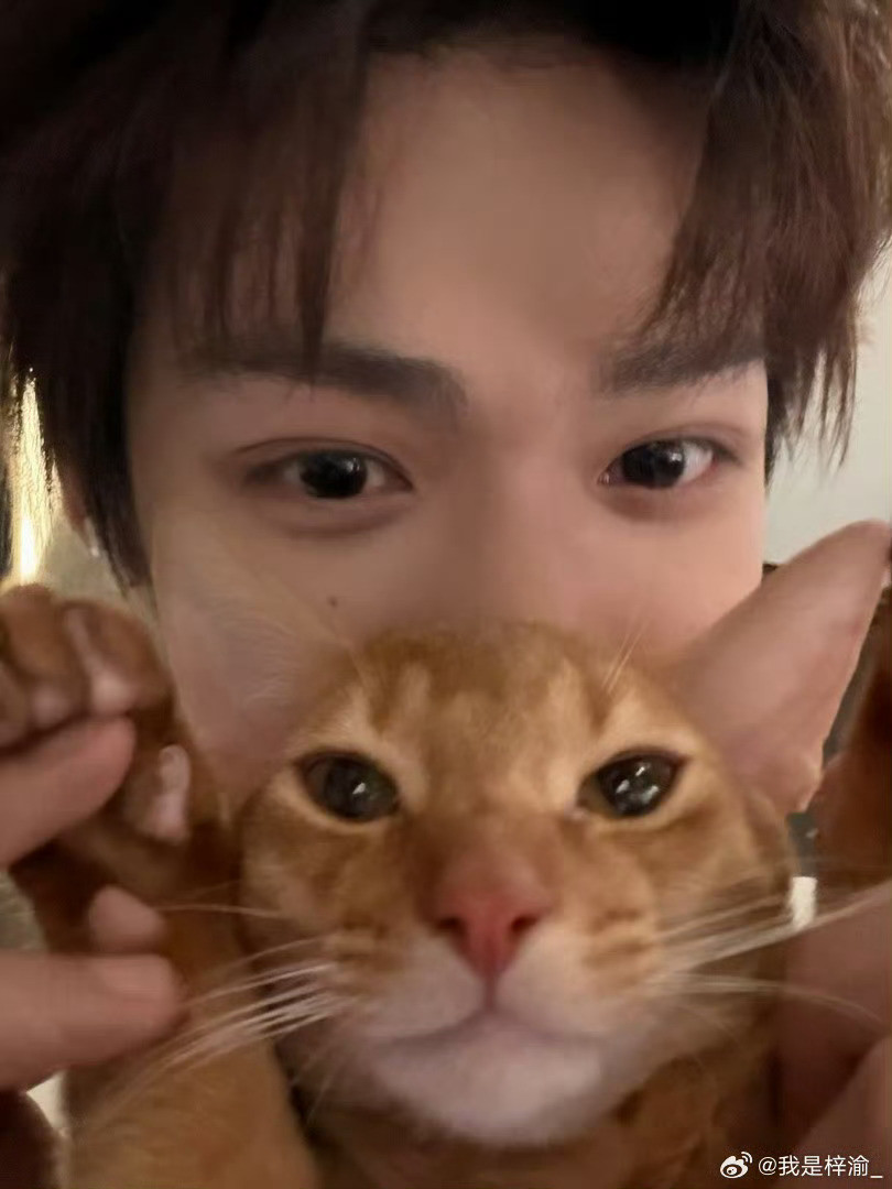 梓渝和大鱼小十一四宫格合照梓渝和大鱼小十一四宫格合照📸可可爱爱软fufu的