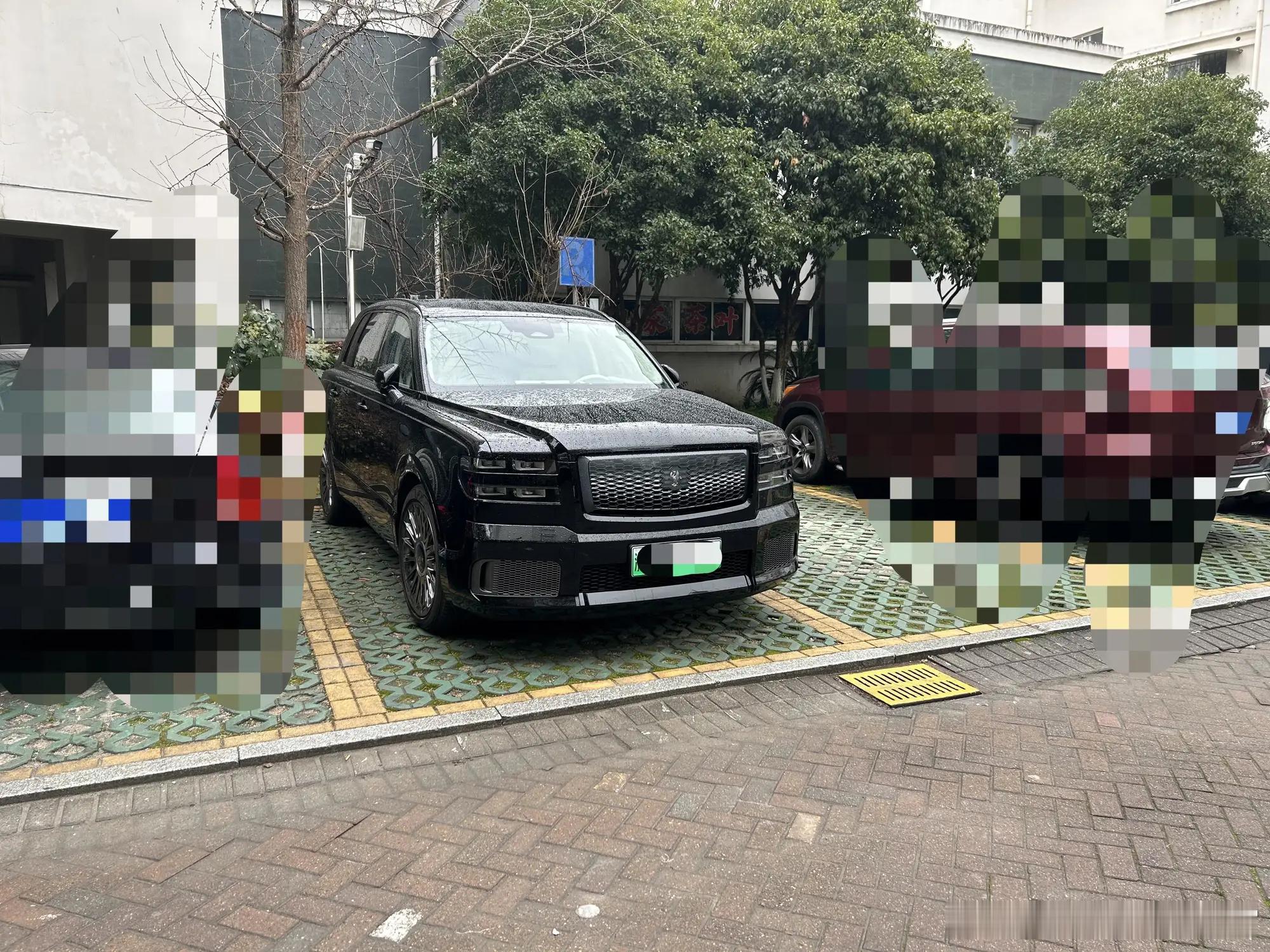 网友在自家小区偶遇丰田世纪，一开始还以为是极氪9X