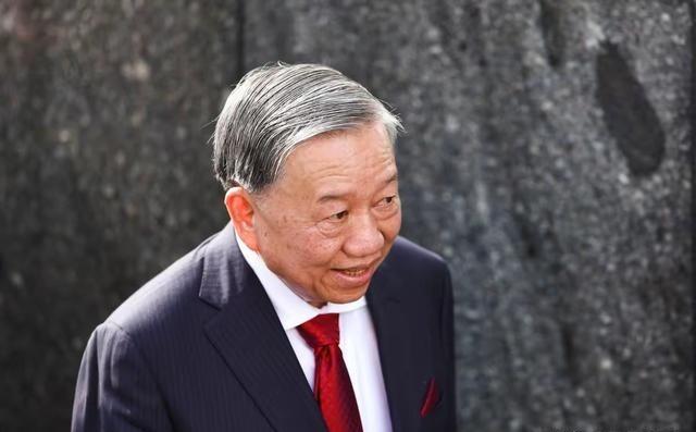 越南新一届领导团队已经产生并实际运行，苏林是团队的中心角色，是垂垂老矣又胸怀大志