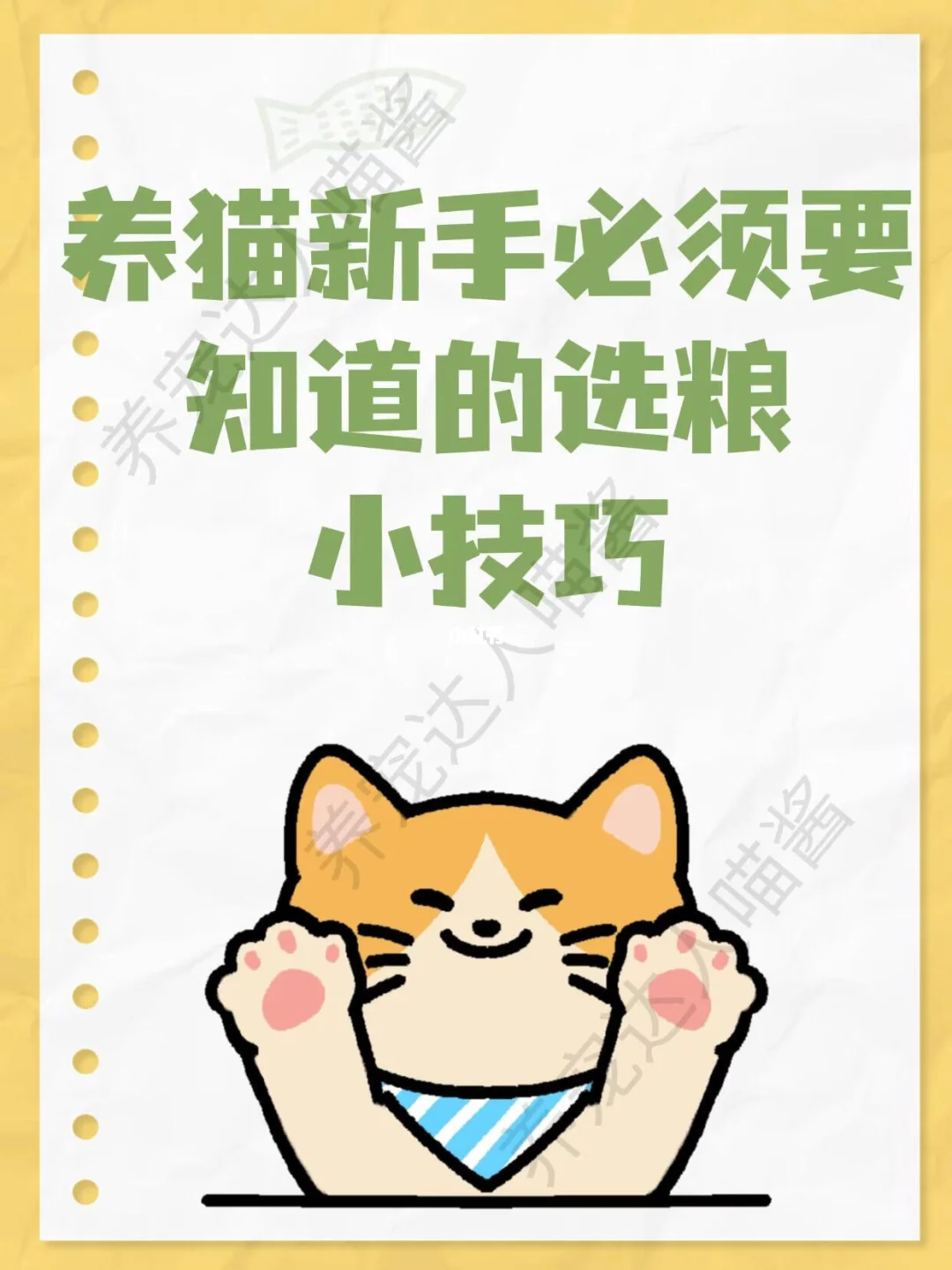 养猫新手必看！选粮小技巧 get 起来