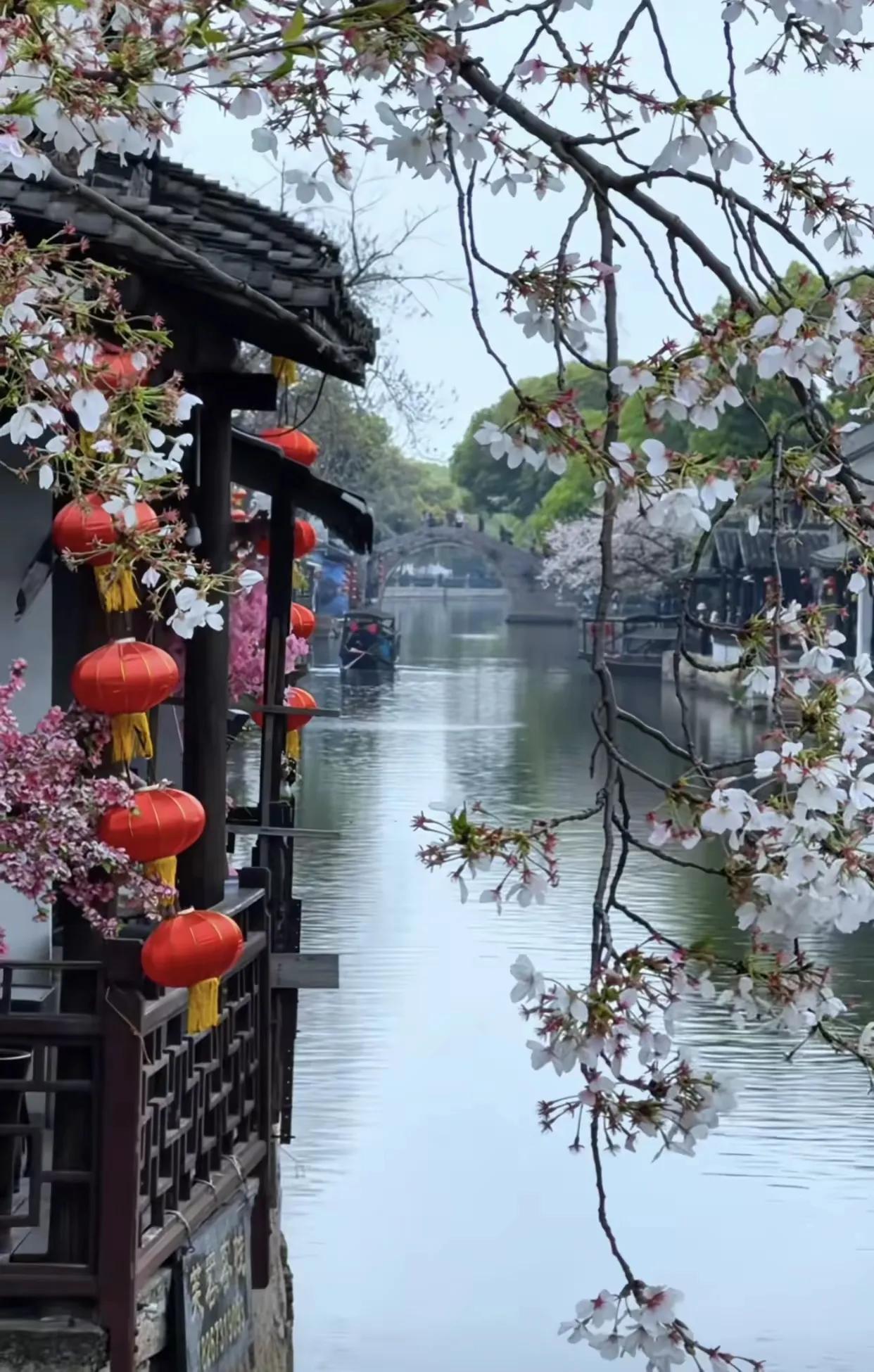 师友短短几句话，描绘了虽然说立夏刚过，江南水乡初夏季节，照样尚有春天的韵味，呈现