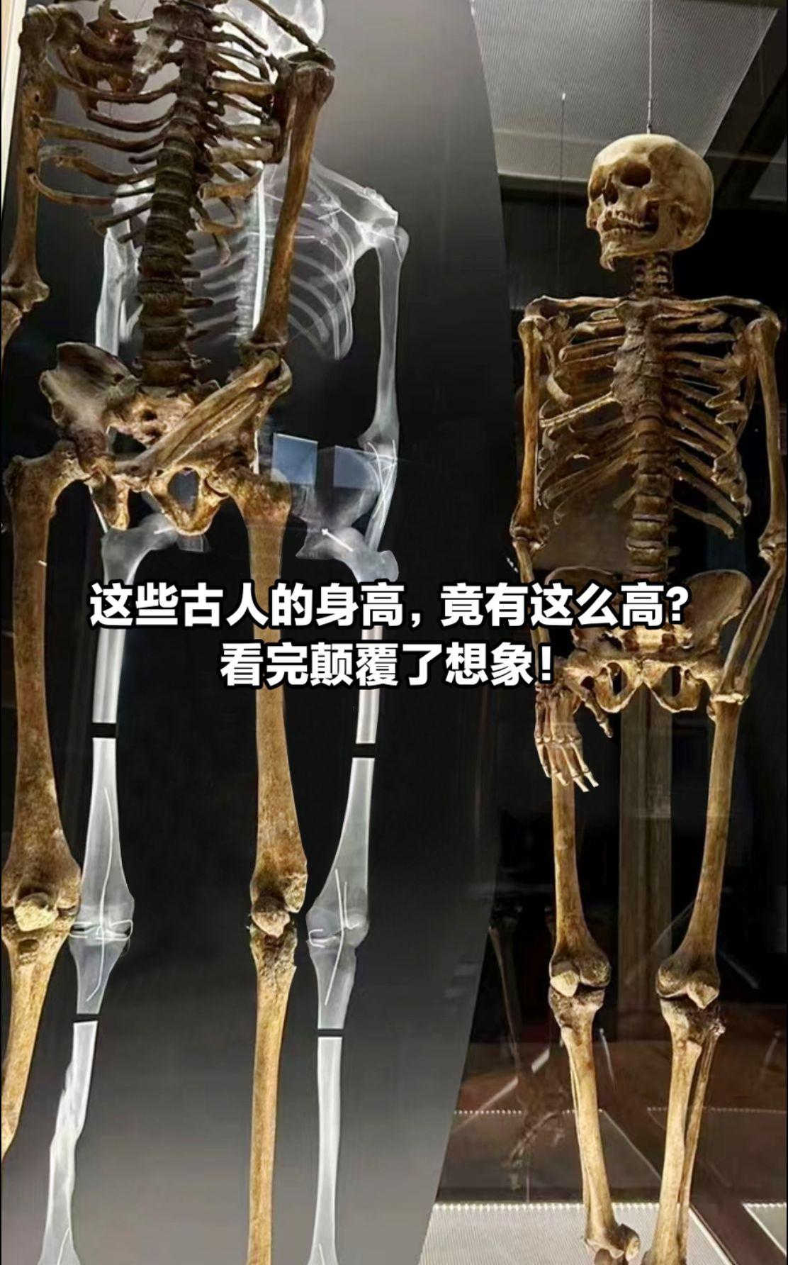这些古人身高，竟有这么高，看完颠覆了想像。