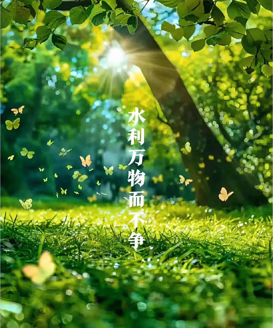 活着活着就明白了，人生就是那点事。这句看似简单的总结，却道出了我多年
