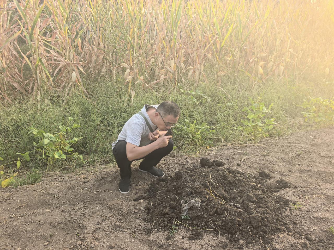 弘毅生态农场如何解决草害问题蒋高明在山东平邑蒋家庄，弘毅生态农场有一片持续