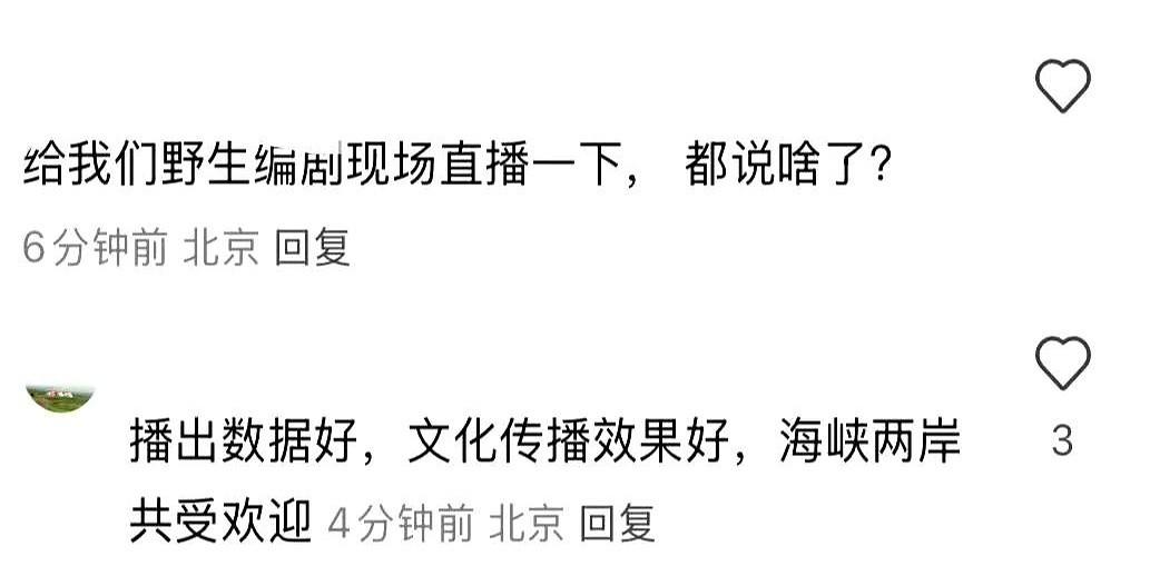 《藏海传》于6.11收官，6.12便召开了研讨会。郑导发言时再次提及不是他的