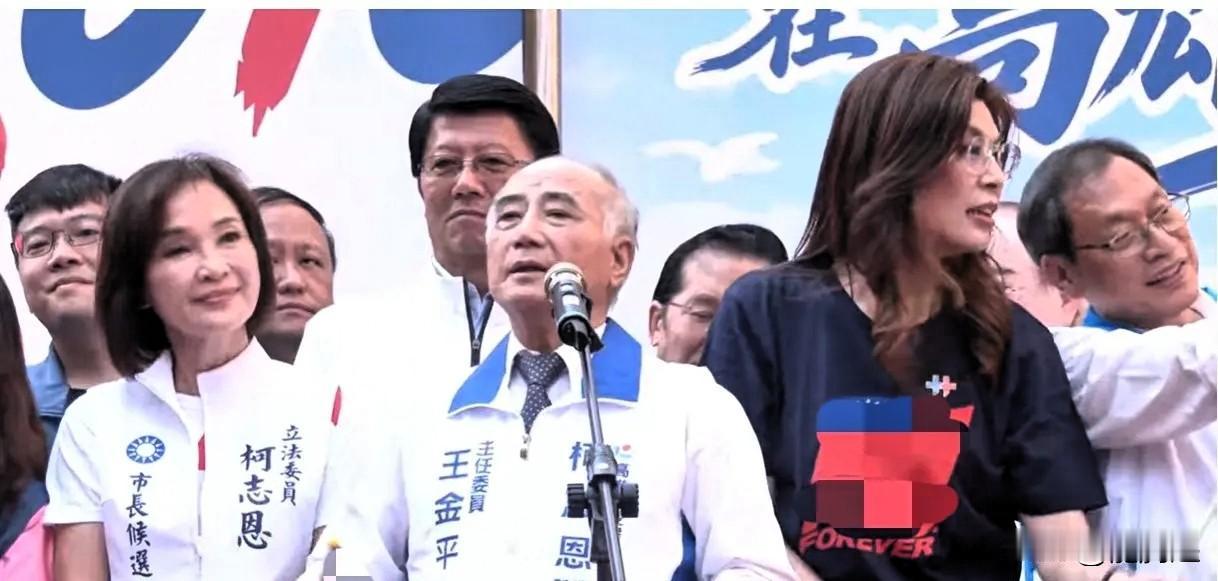王金平批评民进党：自1949年起切割历史，塑造所谓“假的中华民国”10月10