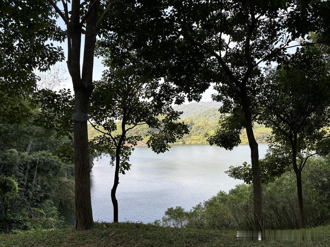 体检结果显示甘油三酯高。1.甘油三酯是血液中的油脂，代表多余的热量，主要在