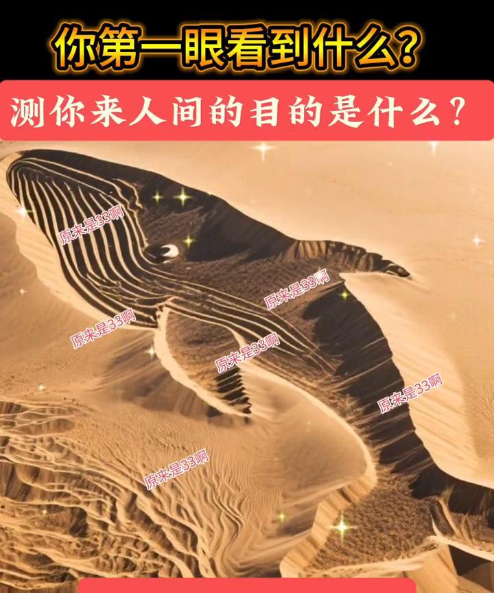 你第一眼看到什么？测你来人间的目的是什么？原来是33。A.鲸鱼；B.沙漠。