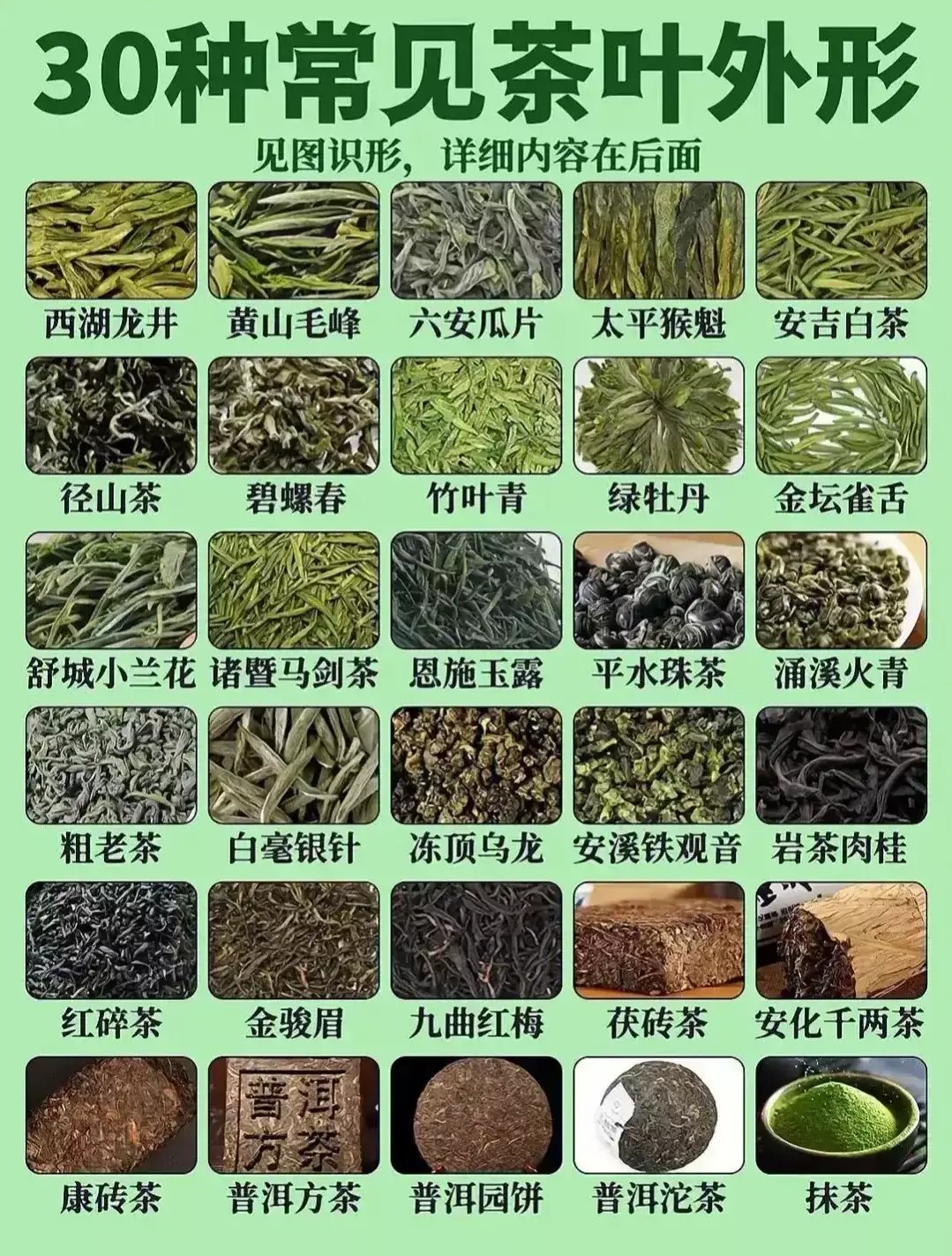 茶叶外形