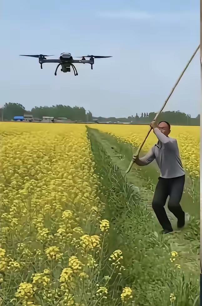 好家伙！一边是油菜花开，春意盎然；另一边却是大量的蜜蜂死去，蜂农欲哭无泪。湖