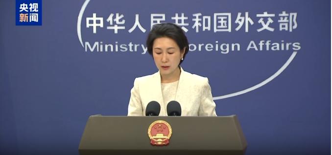 国际调解院是中国作为真正主导者而成立的第一国际组织，其创始国共有10个，其他9个