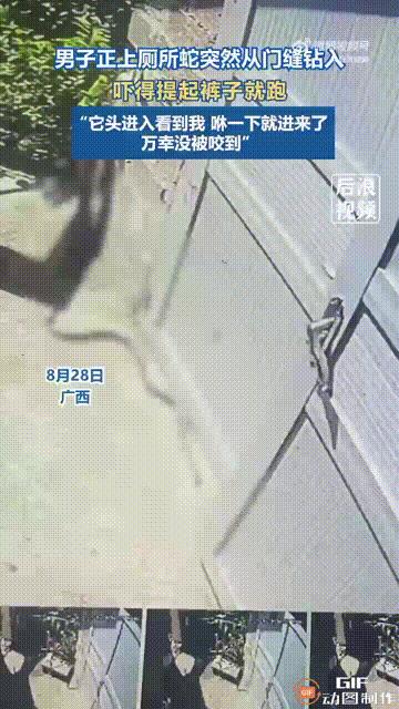 笑不活了！8月28日，广西一名男子正在上厕所时，突然有一条蛇从门缝里钻了进来，吓