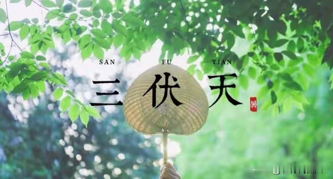 2026年三伏天有些特别！牢记：吃三样，做三样，忌三样，平安过伏天2026