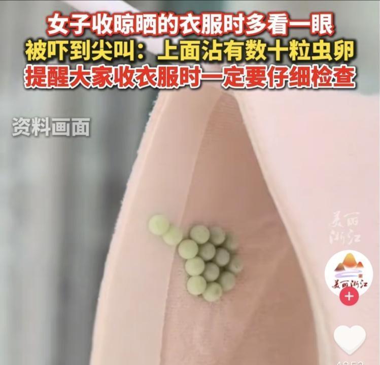 “太吓人了！”四川，女子起床穿内衣，结果总觉得卡扣那边不舒服，她将内衣一把扯开，