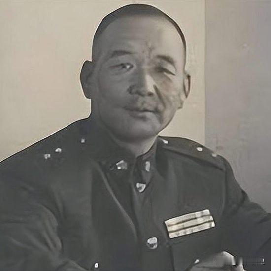 白崇禧评价胡琏，最有名、流传最广的是这一句：“胡琏所到之处，有敌无我，有我无敌。