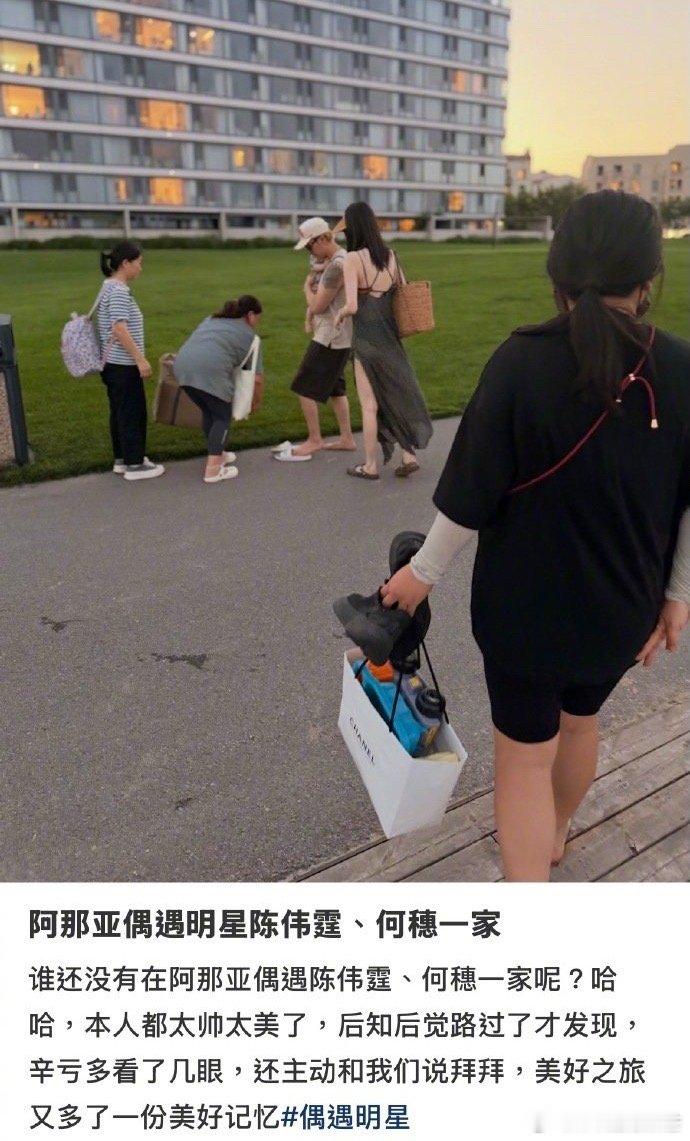 阿那亚偶遇陈伟霆何穗遛娃网友阿那亚偶遇陈伟霆何穗一家三口网友又又又在阿那亚偶遇