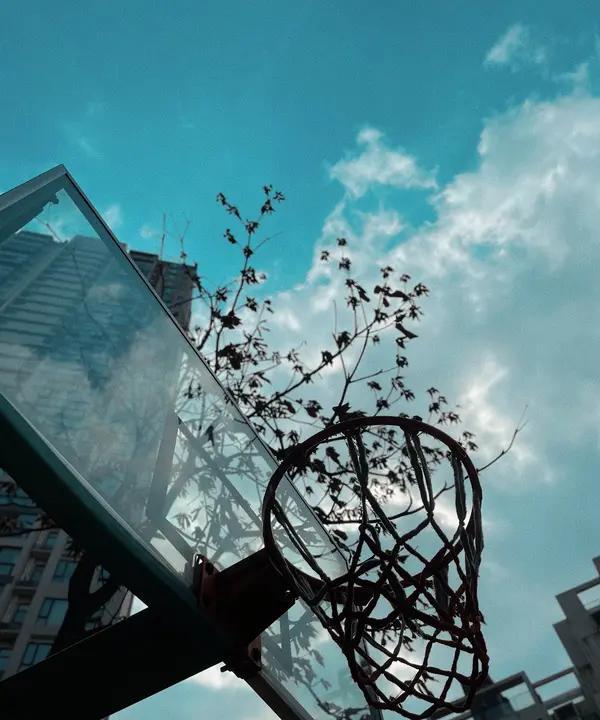 老詹最终大概率还是留湖人。都说詹姆斯想和湖人续约，但被湖人无情拒绝，詹姆斯