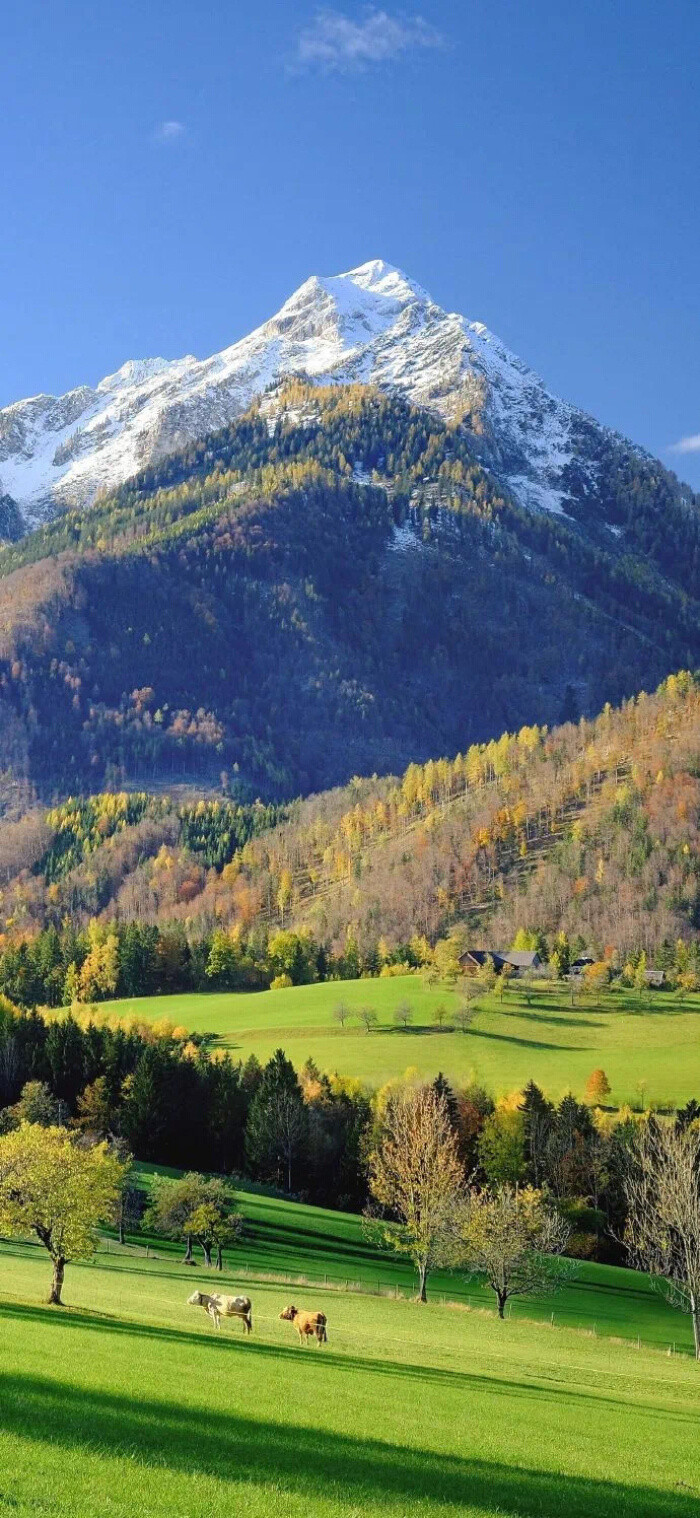 手机壁纸风景壁纸全屏壁纸