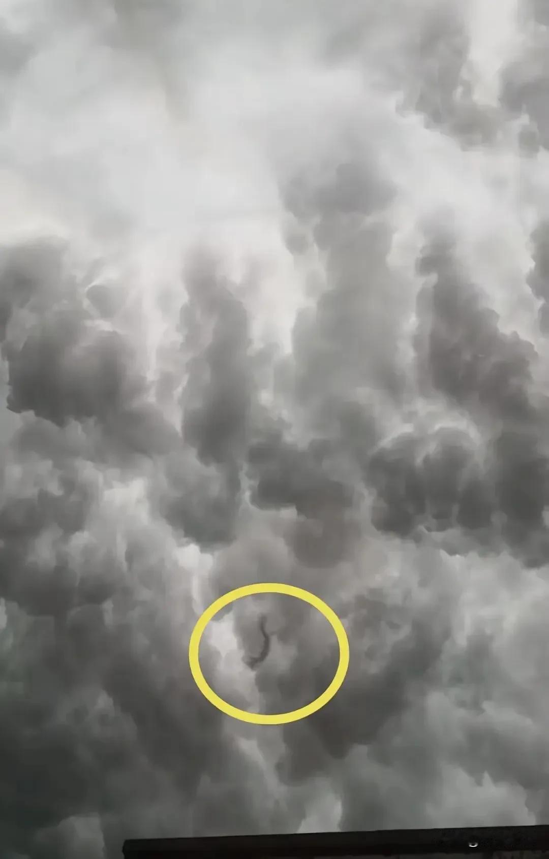 龙国要变天了？这是要对全世界公开了？西安雷雨夜出现不明飞行生物竟然上热搜