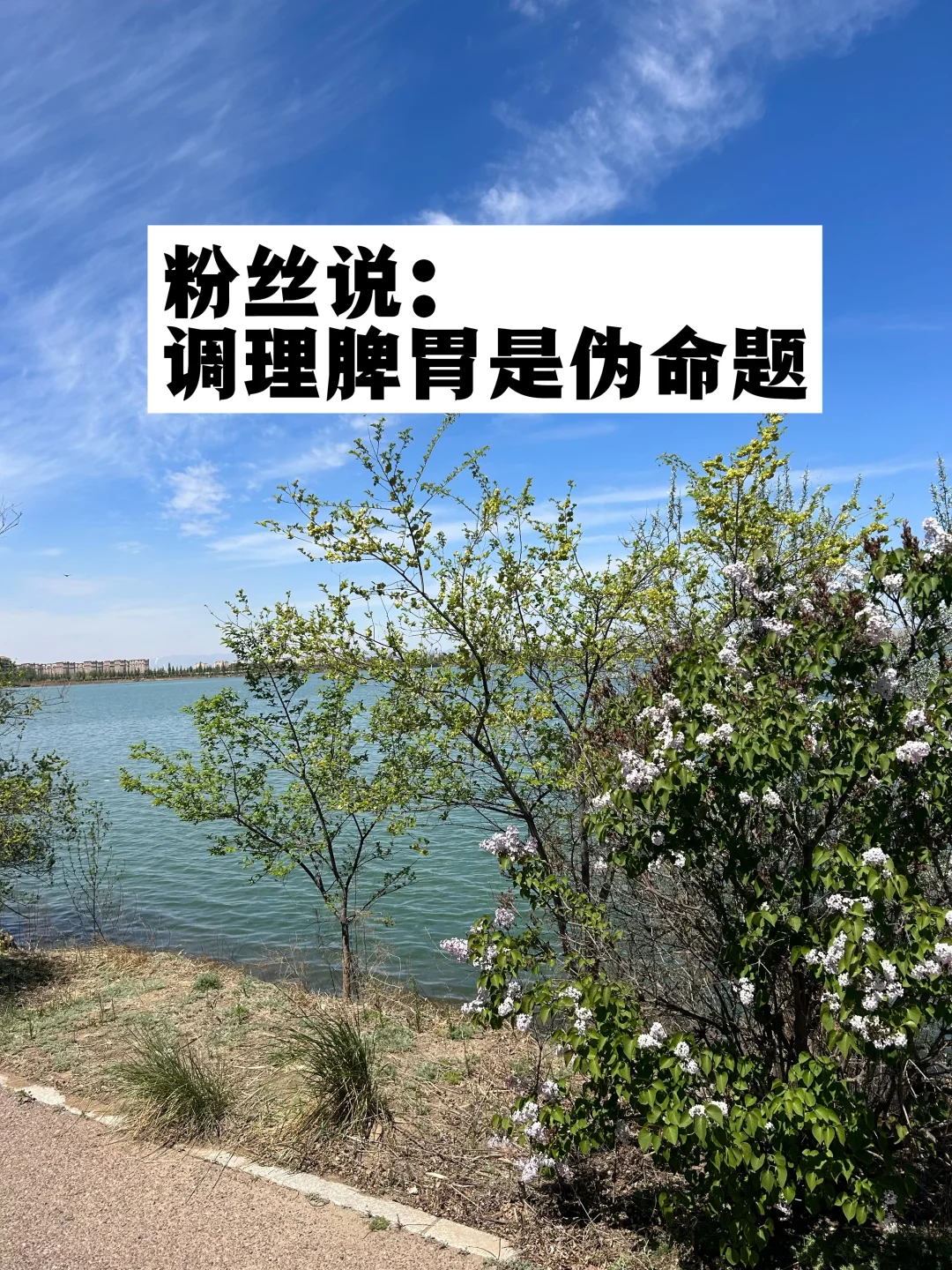 粉丝说：调理脾胃是伪命题，是骗人的！